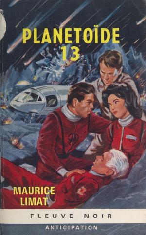 Cover of the book Planétoïde 13 by Frank Stevens, Bruno Martin