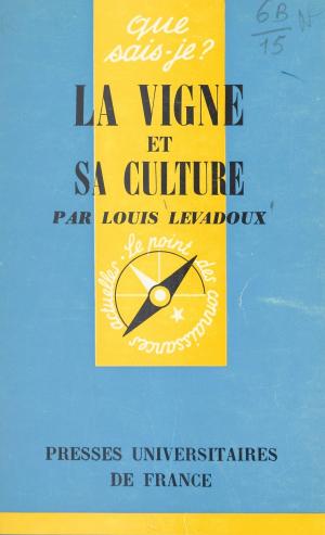 Cover of the book La vigne et sa culture by Ae-Young Choe, Jean Bellemin-Noël