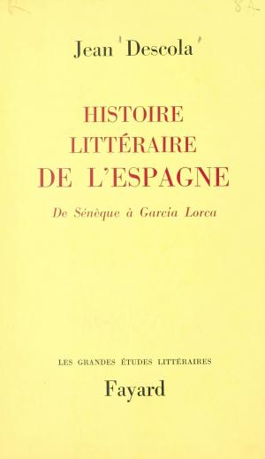 Cover of the book Histoire littéraire de l'Espagne by Dirk Van der Cruysse