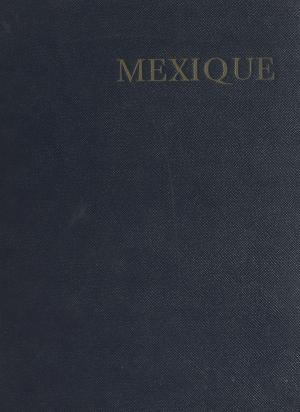 Cover of the book Mexique by Kerry Atkins
