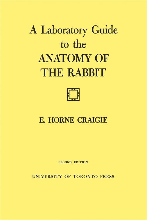 Cover of the book A Laboratory Guide to the Anatomy of The Rabbit by Edward Craigie, University of Toronto Press, Scholarly Publishing Division