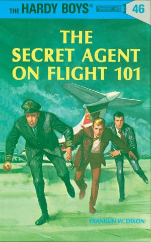 Cover of the book Hardy Boys 46: The Secret Agent on Flight 101 by Andrea Cremer