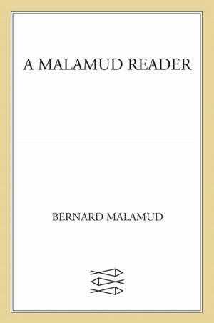 Book cover of A Malamud Reader