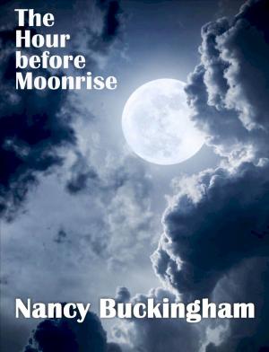 Cover of the book The Hour before Moonrise by Marcy Stewart