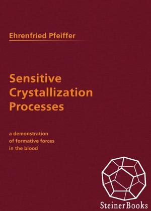 Cover of the book Sensitive Crystallization Processes by Gottfried Richter, Konrad Oberhuber