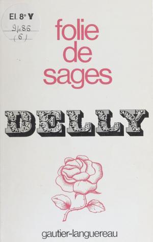 Cover of the book Folie de sages by Bernard Villiot