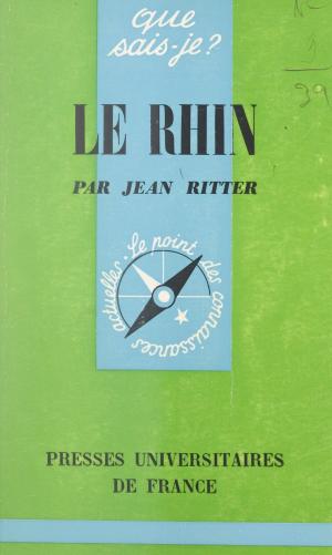 Cover of the book Le Rhin by Jean-François Vidal