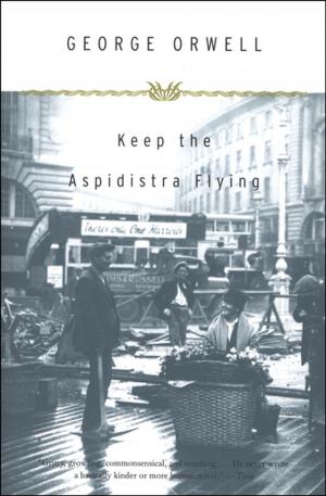 Book cover of Keep the Aspidistra Flying