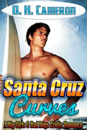 Cover of the book Santa Cruz Curves by Olivia Noble
