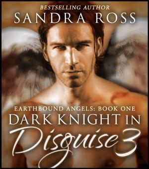 Book cover of Dark Knight in Disguise 3: Earthbound Angels Book 1