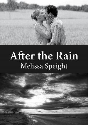 Cover of the book After the Rain by Maura Beth Brennan