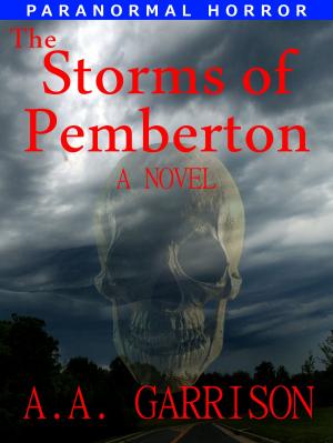 Book cover of The Storms of Pemberton