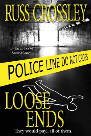 Cover of the book Loose Ends by Danielle Benji