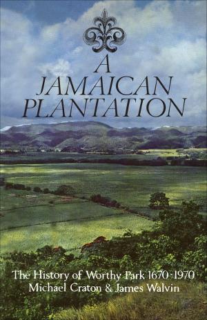 Book cover of A Jamaican Plantation