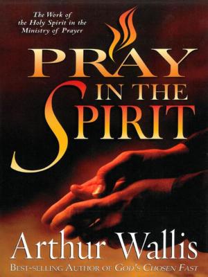 Book cover of Pray in the Spirit