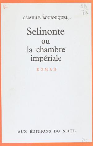 Cover of the book Selinonte by Catherine Audard, Jean-Pierre Dupuy, René Sève, François Terré