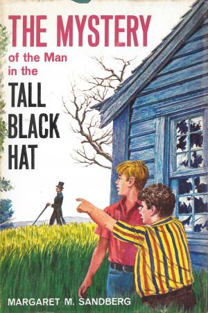 bigCover of the book The Mystery of the Man in the Tall Black Hat by 