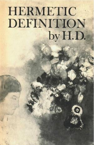 Cover of the book Hermetic Definition: Poetry by Susan Howe, James Welling