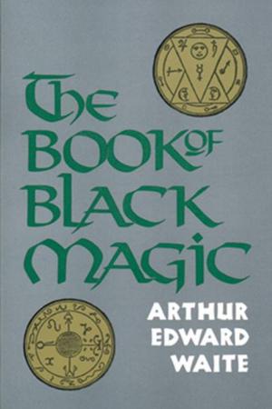 Cover of the book The Book of Black Magic by Bruce Goldberg