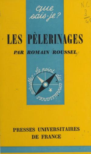 Cover of the book Les pèlerinages by Eliezer Ben-Rafael, Maurice Konopnicki, Paul Angoulvent, Anne-Laure Angoulvent-Michel