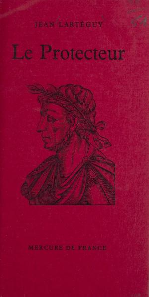 Cover of the book Le protecteur by Michel Mougeot