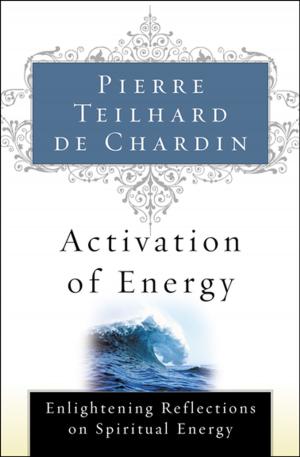 Cover of the book Activation of Energy by Mark Slouka