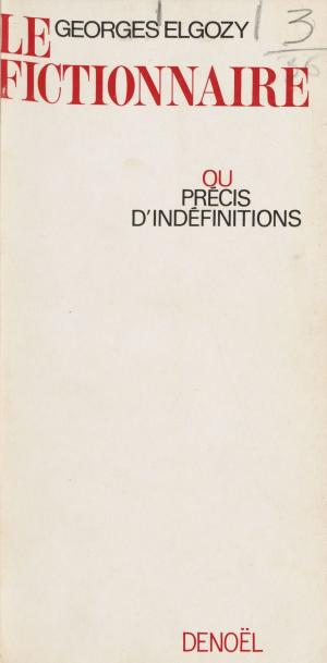 Cover of the book Le fictionnaire by Vincent Placoly