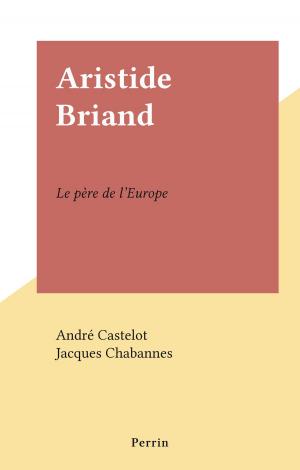 Book cover of Aristide Briand