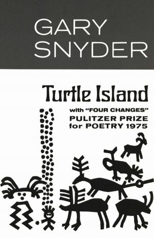 Cover of the book Turtle Island by Enrique Vila-Matas