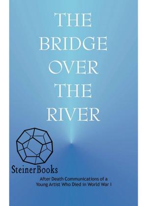 Cover of the book Bridge over the River by Charles S. Tidball, Robert Powell