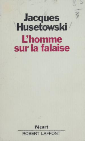 Cover of the book L'homme sur la falaise by Catherine de Silguy
