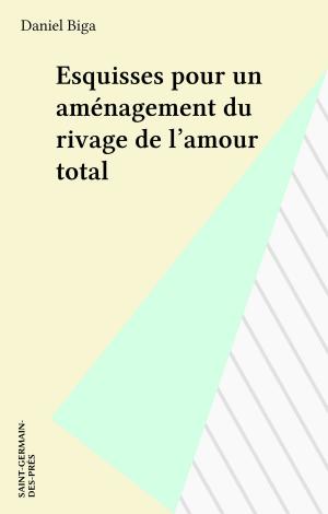 Cover of the book Esquisses pour un aménagement du rivage de l'amour total by Emmett Rensin, Alexander Aciman, Erik Orsenna
