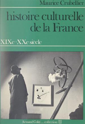 Cover of the book Histoire culturelle de la France, XIXe-XXe siècle by Christopher Goscha