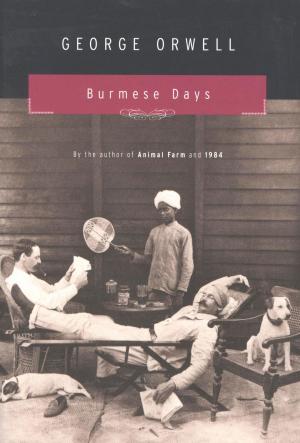 Cover of the book Burmese Days by Larry Bird, Earvin Johnson Jr., Jackie MacMullan