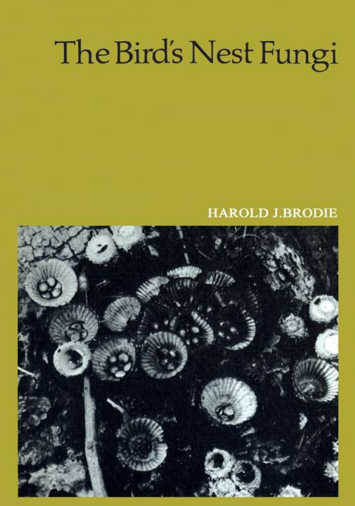 Cover of the book The Bird's Nest Fungi by Harold Brodie, University of Toronto Press, Scholarly Publishing Division