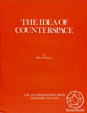 Cover of the book The Idea of Counterspace by Georg Kühlewind