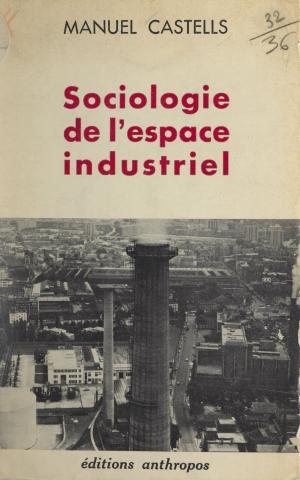 Book cover of Sociologie de l'espace industriel