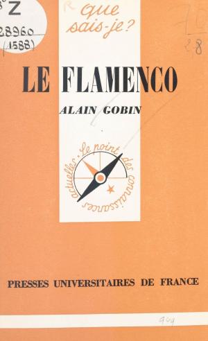 Book cover of Le flamenco