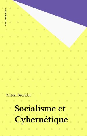 Cover of the book Socialisme et Cybernétique by Elise Fontenaille