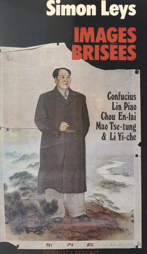 Cover of the book Images brisées by Yvon Gattaz