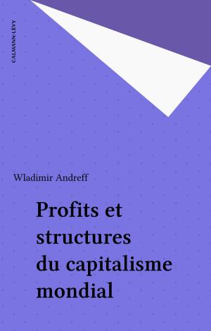 Cover of the book Profits et structures du capitalisme mondial by Jean-Paul Malaval