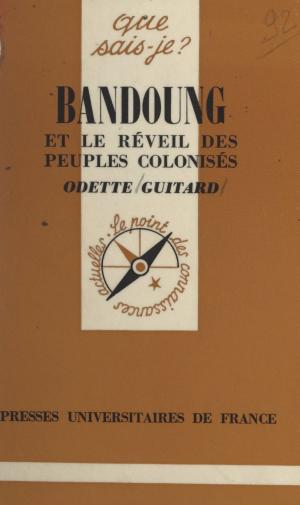 Cover of the book Bandoung by Michel Delon