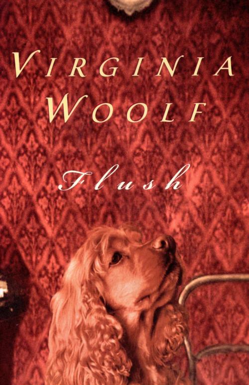 Cover of the book Flush by Virginia Woolf, Houghton Mifflin Harcourt