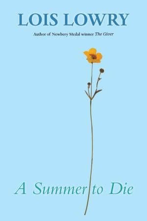 Book cover of A Summer to Die