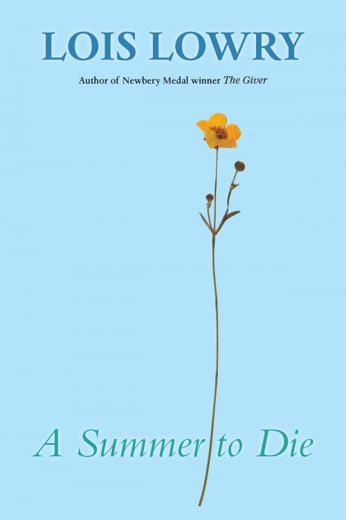 Cover of the book A Summer to Die by Lois Lowry, HMH Books
