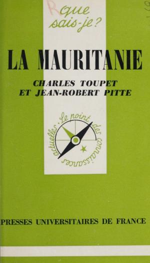 Cover of the book La Mauritanie by Dominique Boullier, Stéphane Chevrier, D. Desjeux