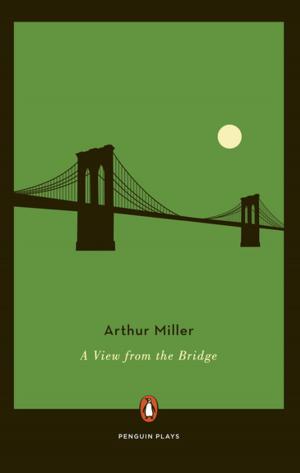 Cover of the book A View from the Bridge by José Paulino Ayuso