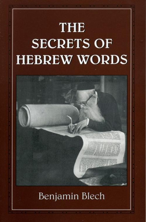 Cover of the book The Secrets of Hebrew Words by Benjamin Rabbi Blech, Jason Aronson, Inc.