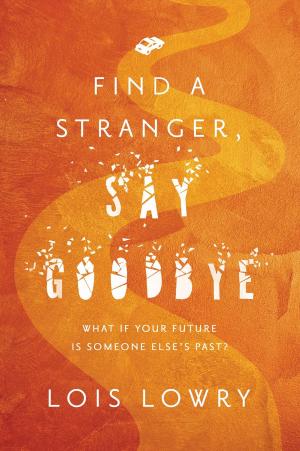 Cover of the book Find a Stranger, Say Goodbye by Stan Lee, Kat Rosenfield, Luke Lieberman, Ryan Silbert