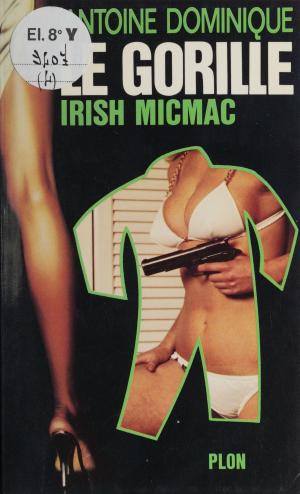 Cover of the book Irish micmac by Sylvie Pierre-Brossolette